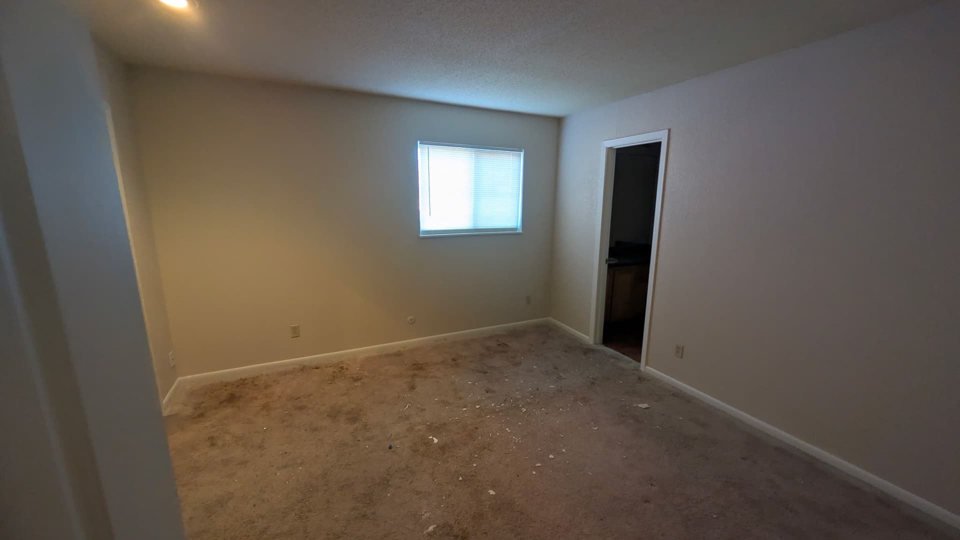 Gallery photos for Fresh Paint and Flooring Revamp: Image #2