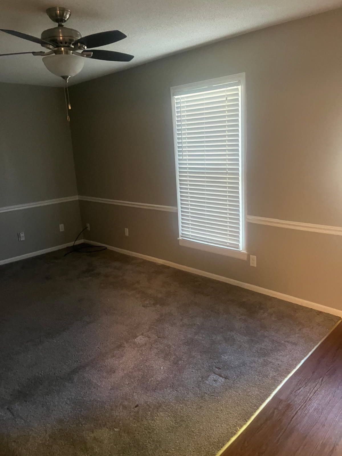 Project Upgrade Your Home with Fresh Walls and Unique Features image