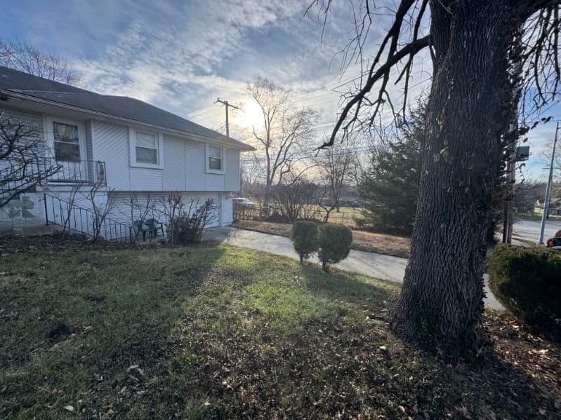 Project Handling Storm Damage: Expert Tree Work and Cleanup image