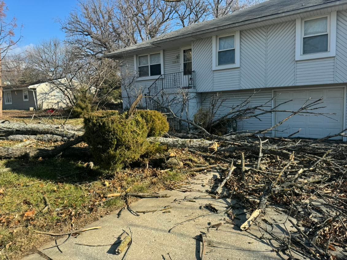 Handling Storm Damage: Expert Tree Work and Cleanup