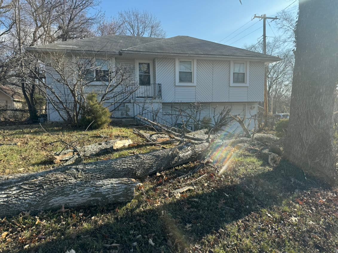 Handling Storm Damage: Expert Tree Work and Cleanup