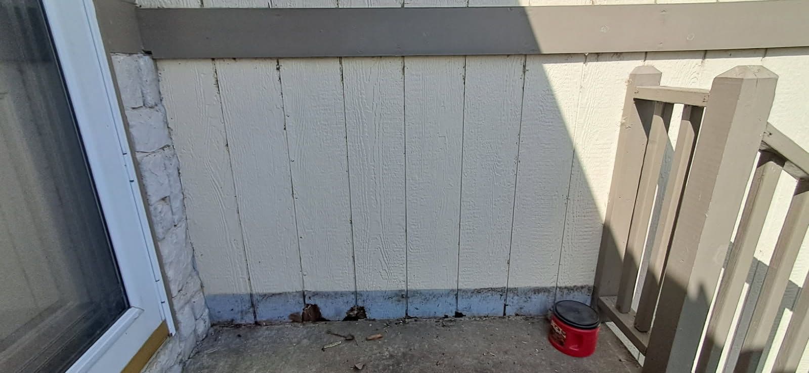 Expert Siding Repair and Painting Mastery image