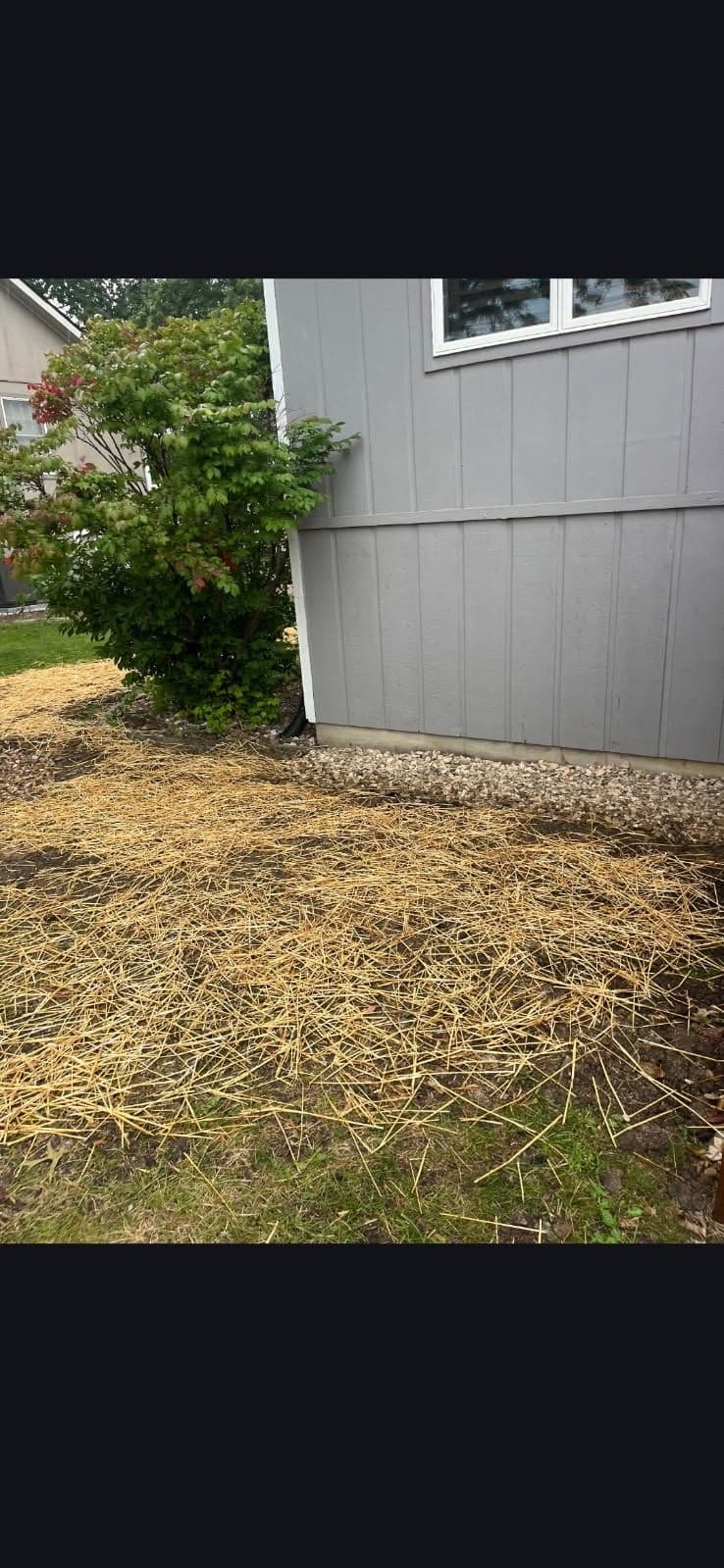 Gallery photos for Transform Your Yard with Quality French Drains: Image #2