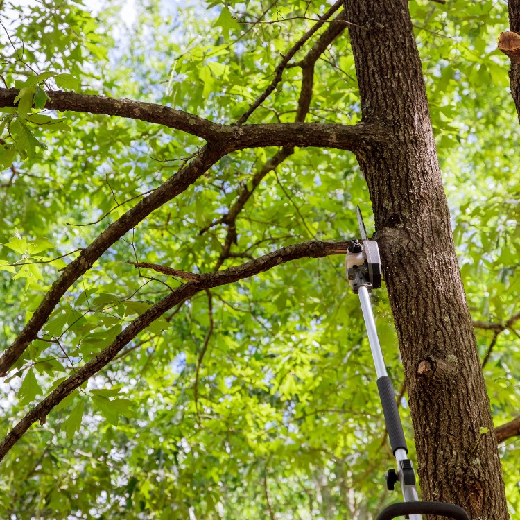 Painting and remodeling services in Kansas City, MO