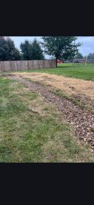 Gallery photos for Transform Your Yard with Quality French Drains: Image #1