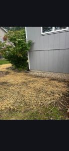 Gallery photos for Transform Your Yard with Quality French Drains: Image #2